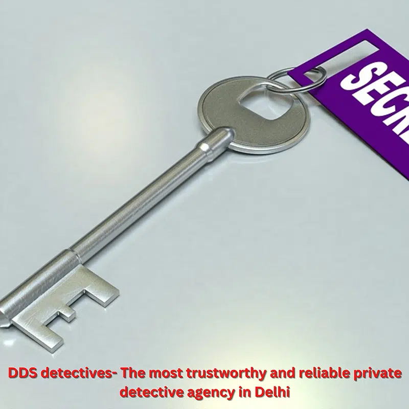 DDS detectives- The most trustworthy and reliable private detective agency in Delhi